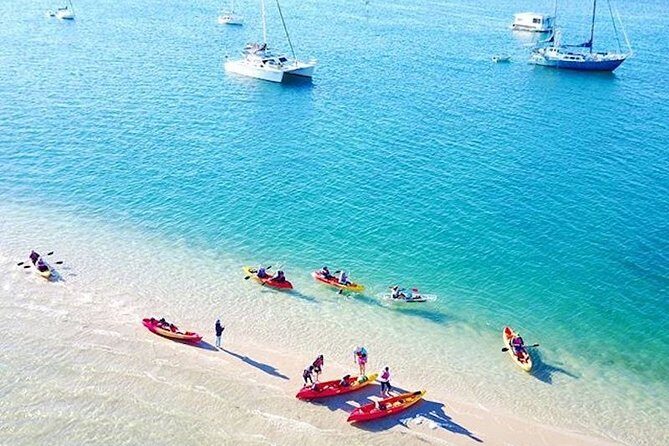 Gold Coast Kayaking & Snorkelling Tour (2.5 Hours) - What to Expect from the Tour
