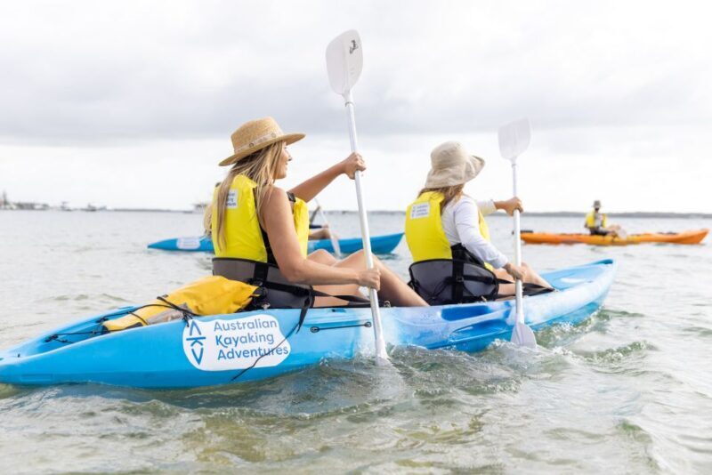 Gold Coast: Kayaking & Snorkelling Tour with Fish Feeding - An Introduction to the Experience