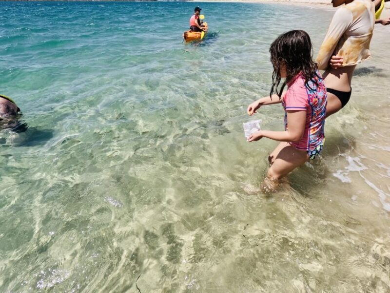 Gold Coast: Kayaking & Snorkelling Tour with Fish Feeding - Who Should Consider This Tour?