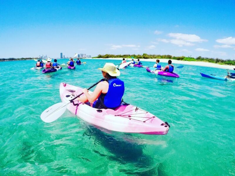 Gold Coast: Kayaking & Snorkelling Tour with Fish Feeding - Final Thoughts