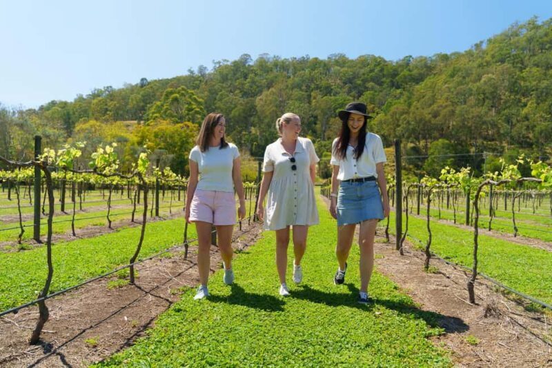 Gold Coast: Lamington Treetops, Wildlife and Vineyard Visit - Key Points