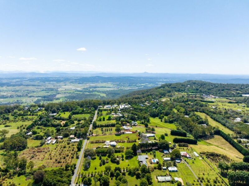 Gold Coast: Luxury Wine Tour with Gourmet Lunch & Distillery - Gold Coast: Luxury Wine Tour with Gourmet Lunch & Distillery – A Detailed Look