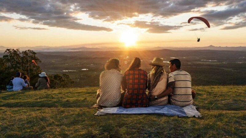 Gold Coast: Luxury Wine Tour with Gourmet Lunch & Distillery - What to Expect from the Tour
