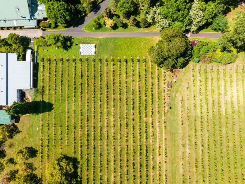Gold Coast: Luxury Wine Tour with Gourmet Lunch & Distillery - FAQs