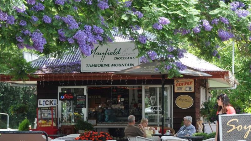 Gold Coast: Mount Tamborine Kangaroo and Koala Day Tour - Final Thoughts: Who Should Consider This Tour?