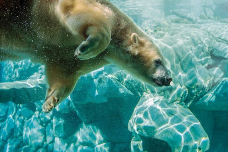 Gold Coast: Movie World, Sea World, Wet'n'Wild 14-Day Pass - Authentic Traveler Insights & Tips
