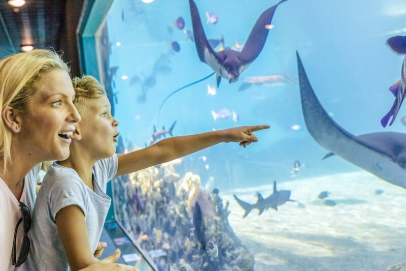 Gold Coast: Movie World, Sea World & Wet'n'Wild 7-Day Pass - Overview of the 7-Day Theme Park Adventure 
