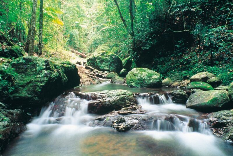 Gold Coast: Natural Bridge Glow Worm Night Tour - The Itinerary: What to Expect