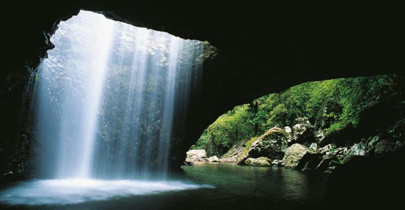 Gold Coast: Natural Bridge & Springbrook Waterfalls Tour - Authentic Guest Experiences & Tips