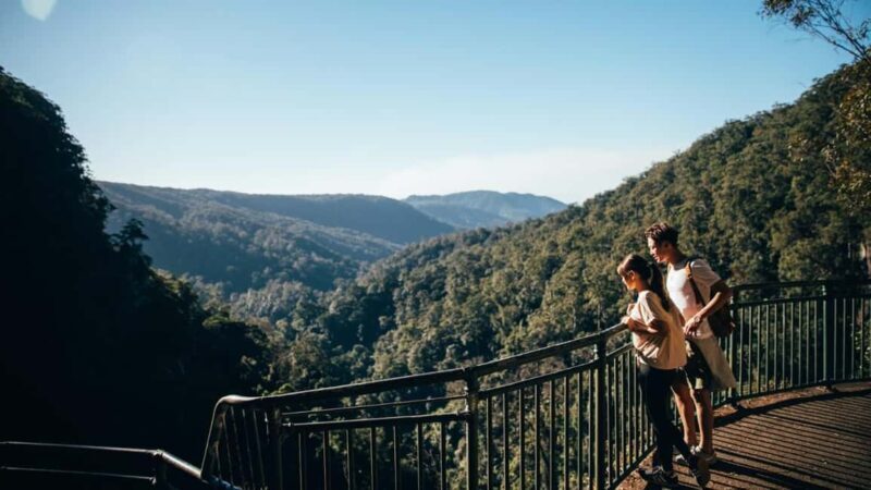 Gold Coast: Natural Bridge & Springbrook Waterfalls Tour - The Sum Up