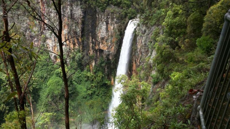 Gold Coast: Natural Bridge & Springbrook Waterfalls Tour - FAQ