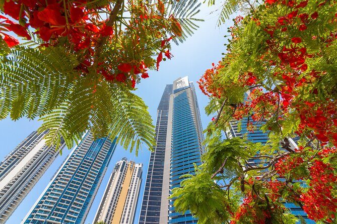 Gold Coast Photography Course For Beginners - The Cost and Overall Value