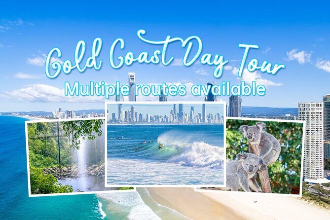Gold Coast Private Customize One Day Tour - A Deep Dive into the Gold Coast Private Day Tour