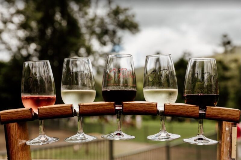 Gold Coast: Private Winery Tour in a New Luxury Vehicle - Key Points