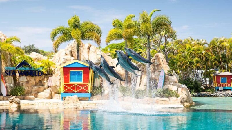 Gold Coast: Sightseeing Hop-on Hop-off Cruise - In-Depth Look at the Price and Value