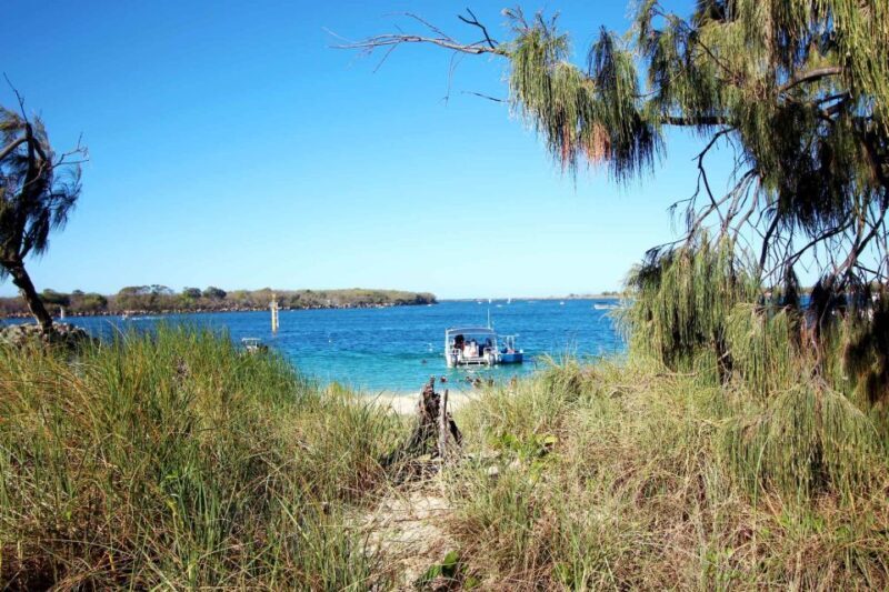 Gold Coast: Snorkelling in Wave Break Island - Who Will Love This Experience?