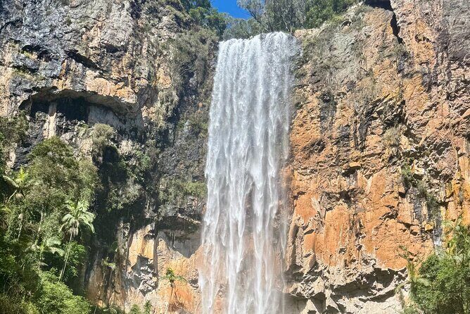 Gold Coast: Springbrook 7 Waterfalls and Natural Bridge Day Tour - A Closer Look at the Itinerary