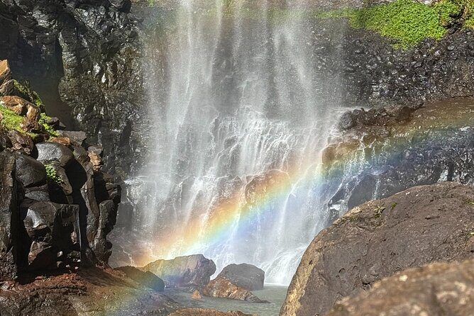 Gold Coast: Springbrook 7 Waterfalls and Natural Bridge Day Tour - Who Is This Tour Best For?