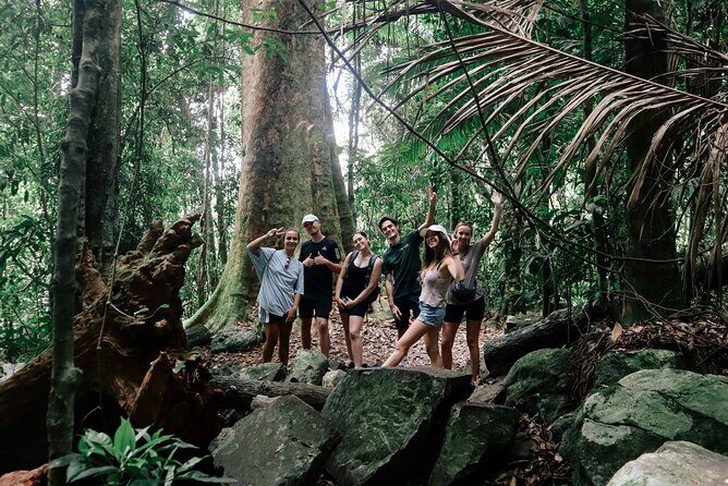 Gold Coast: Springbrook 7 Waterfalls and Natural Bridge Day Tour - The Sum Up