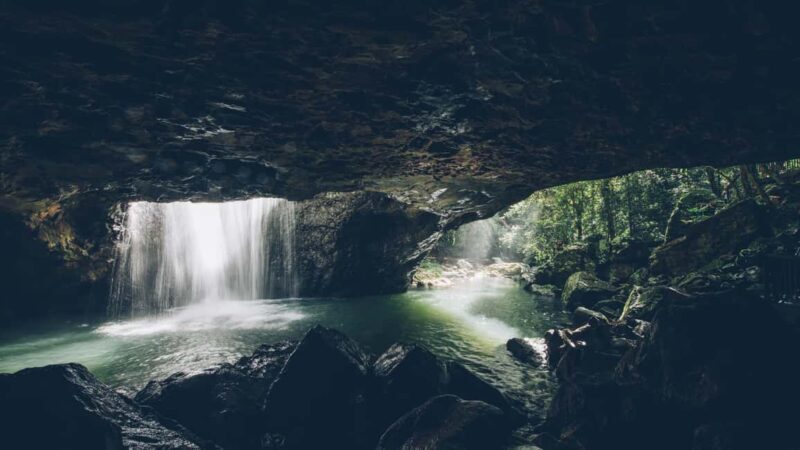 Gold Coast: Springbrook 7 Waterfalls and Natural Bridge Tour - Key Points