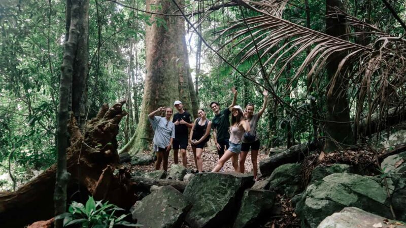 Gold Coast: Springbrook 7 Waterfalls and Natural Bridge Tour - An In-Depth Look at What Makes This Tour Stand Out