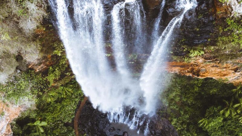 Gold Coast: Springbrook 7 Waterfalls and Natural Bridge Tour - Who Is This Tour Best For?