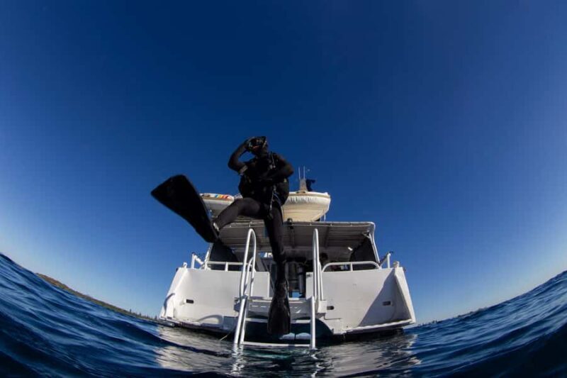 Gold Coast: SSI Open Water Diver Course - An Honest Look at the Course Structure