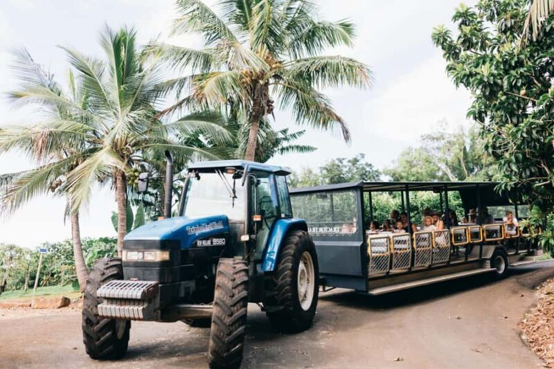 Gold Coast: Tropical Fruit World Full Farm Tour - Authentic Experiences from Visitors
