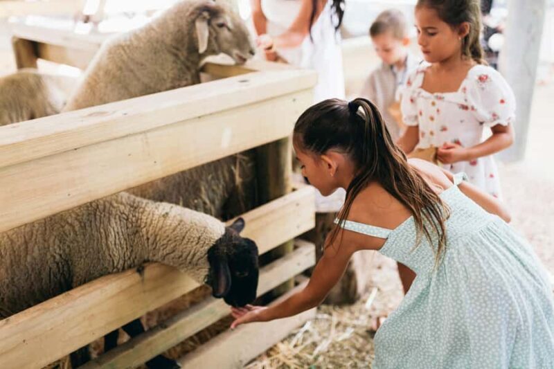 Gold Coast: Tropical Fruit World Full Farm Tour - Why Choose This Tour?