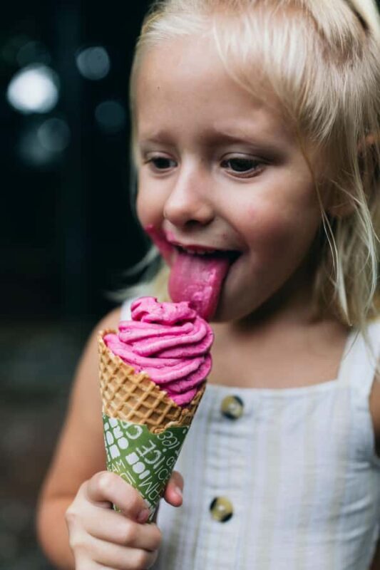 Gold Coast: Tropical Fruit World Full Farm Tour - Final Thoughts