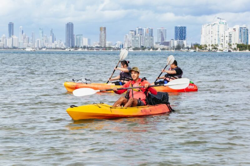 Gold Coast: Wave Break Island Kayaking & Snorkeling tour - Real Experiences & Honest Insights