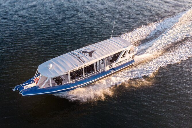 Gold Coast Whale Watching Cruise - Frequently Asked Questions