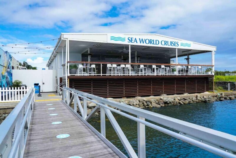 Gold Coast: Whale Watching Cruise & Sea World Entry - Exploring the Gold Coast Whale Watching & Sea World Tour