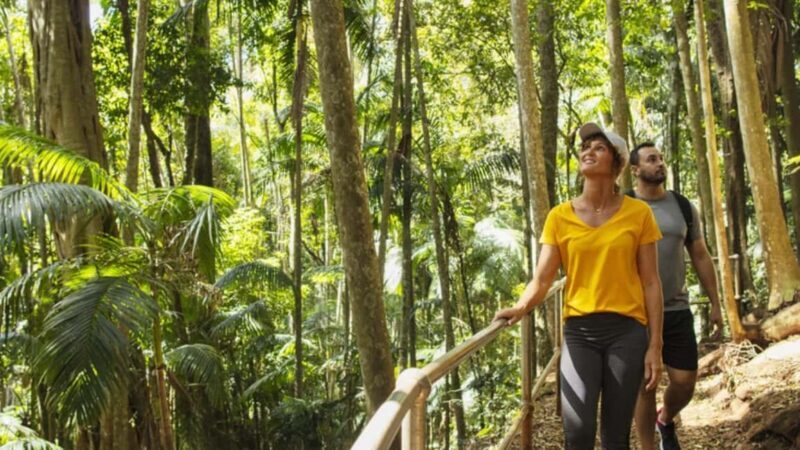 Gold Coast: Wine, Distillery & Rainforest Day Tour - Exploring the Gold Coast: Wine, Distillery & Rainforest Day Tour