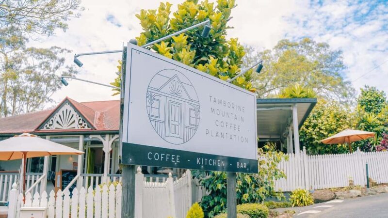 Gold Coast: Wine, Distillery & Rainforest Day Tour - Final Thoughts