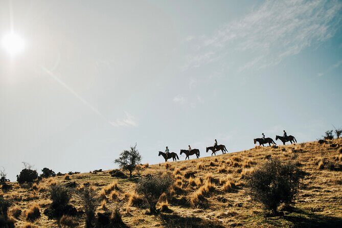 Gold Discovery Trail Horse Trek Cardrona - Most popular! - Gold Discovery Trail Horse Trek Cardrona – Most Popular!  