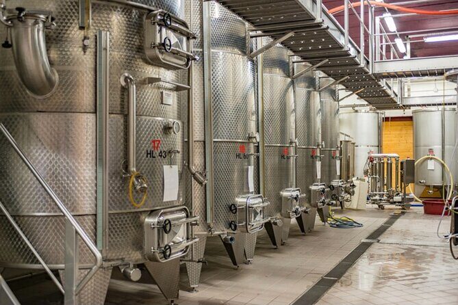 GOLD EXPERIENCE - Winery tour & tasting at Villa Corniole - Final Thoughts