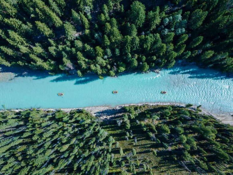 golden-bc-kicking-horse-river-family-rafting-with-lunch
