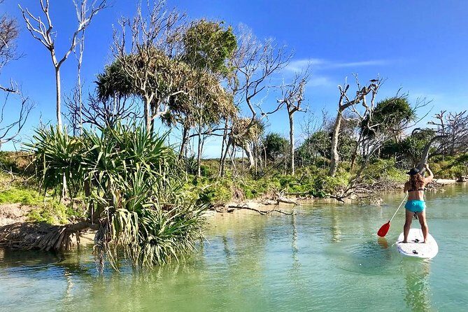 Golden Beach 1-Hour Stand-Up Paddleboard Hire on the Sunshine Coast - Pricing and Value