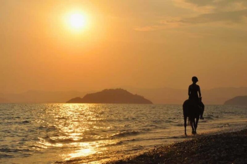 Golden Beach Sunrise: Horse Riding - Key Points