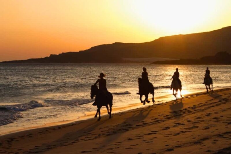 Golden Beach Sunrise: Horse Riding - An In-Depth Look at the Golden Beach Sunrise Horseback Tour