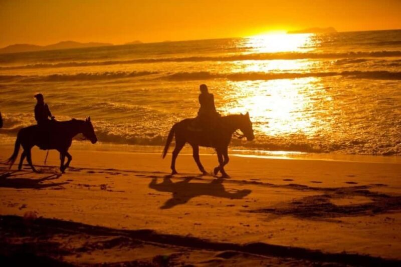 Golden Beach Sunrise: Horse Riding - Who Should Consider This Tour?