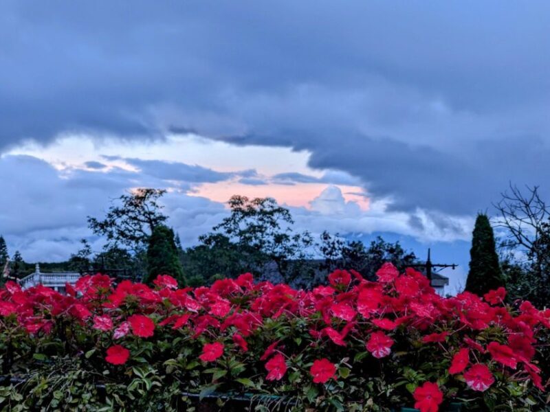 Golden Bridge -Ba Na Hills Small Group from Hoi An / Da Nang - Who Should Consider This Tour?