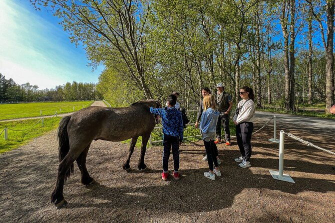 golden-circle-and-lunch-at-fridheimar-tomato-farm-with-photos