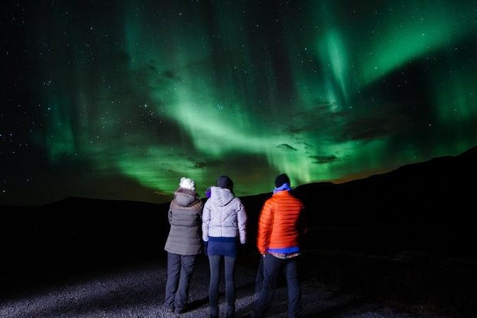 golden-circle-and-northern-lights-combo-small-group-tour-2