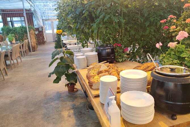 golden-circle-cook-eggs-in-a-hot-spring-shore-excursion
