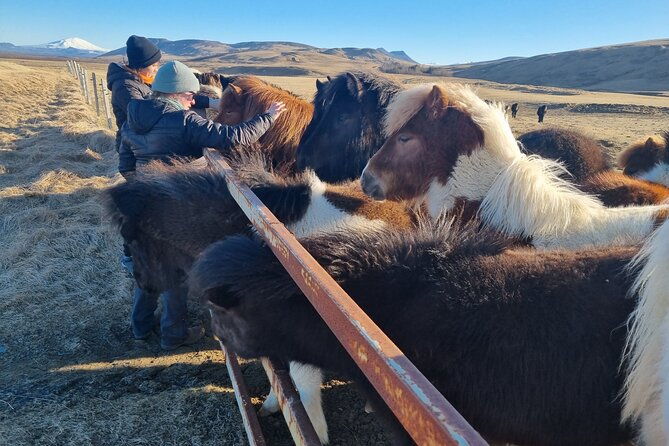 golden-circle-experience-private-eco-tour