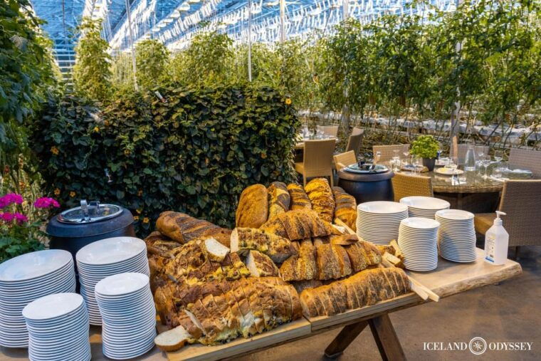 golden-circle-geysers-falls-tomato-farm-with-lunch