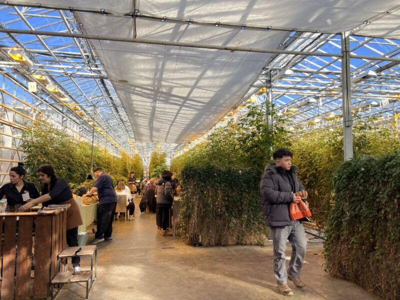 golden-circle-hot-spring-bakery-tomato-farm-private-tour