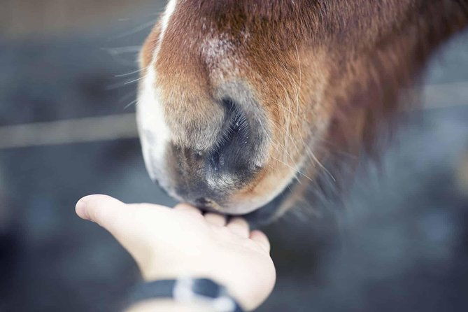 golden-circle-kerid-day-tour-by-minibus-from-reykjavik